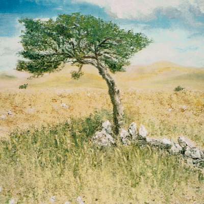 L'arbre du Causse