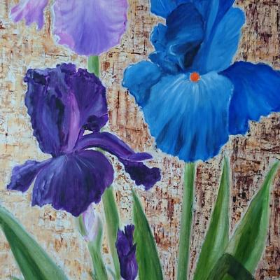 Iris I
