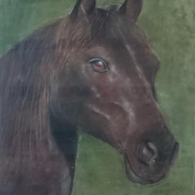 Portrait cheval I