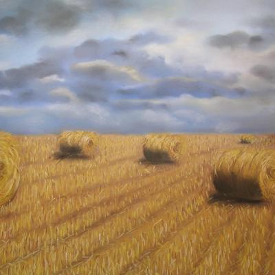 Paysages et bâtis